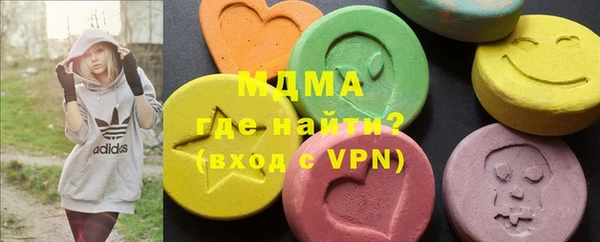 индика Горняк