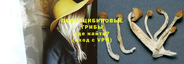 индика Горняк