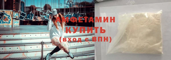 индика Горняк