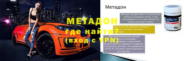 индика Горняк