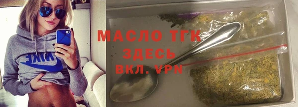 индика Горняк