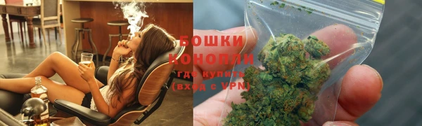 индика Горняк