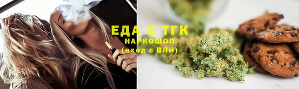 индика Горняк