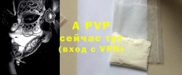 индика Горняк