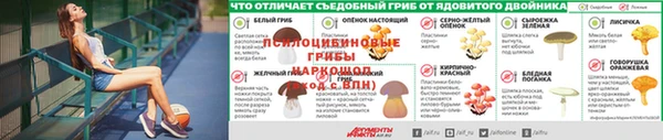 индика Горняк