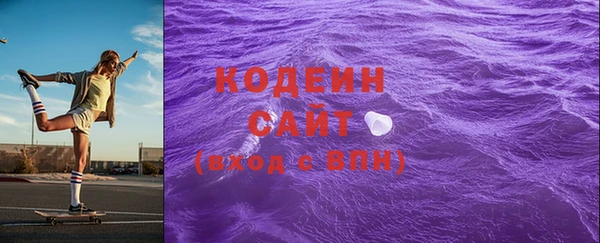 индика Горняк