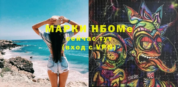 индика Горняк