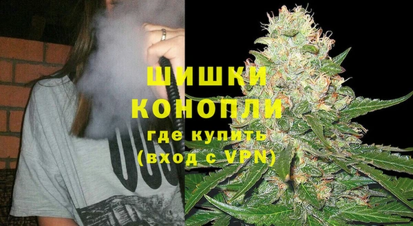 индика Горняк