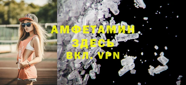 индика Горняк